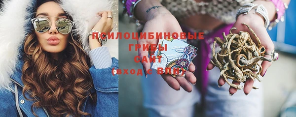 твердый Кукмор
