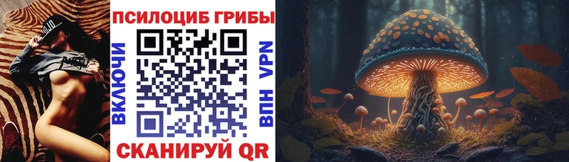Галлюциногенные грибы мухоморы  Купить закладки  Бийск 